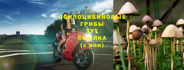 герыч Каменка